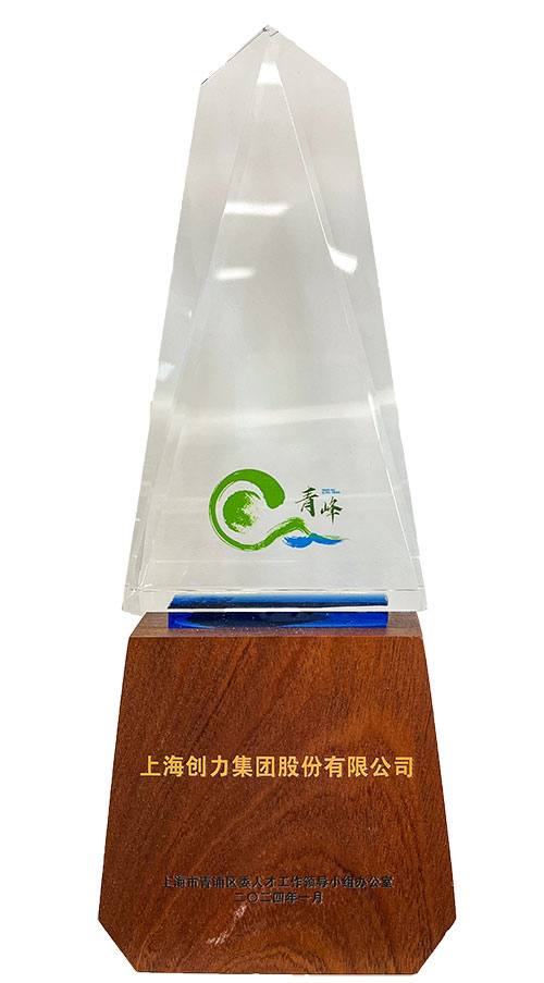 青峰獎1.jpg 喜報!上海創力集團榮獲2023年度青浦區百強優秀企業等三項大獎(圖3)