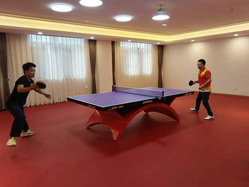 乒乓球.jpg 秋韻飛揚 活力綻放 | 上海創力集團秋季運動會取得圓滿成功(圖4)